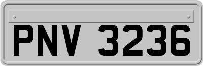 PNV3236