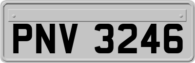 PNV3246