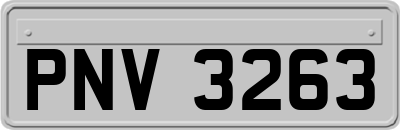 PNV3263