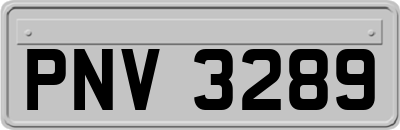 PNV3289