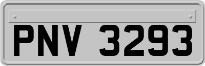 PNV3293