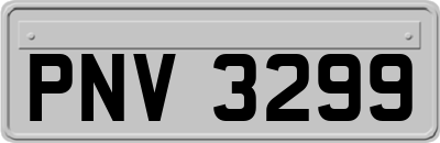 PNV3299