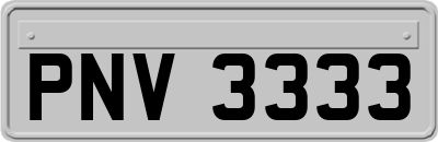 PNV3333