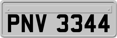 PNV3344