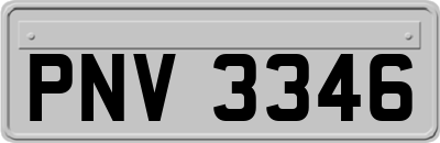 PNV3346