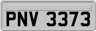PNV3373