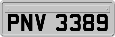 PNV3389