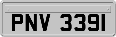 PNV3391