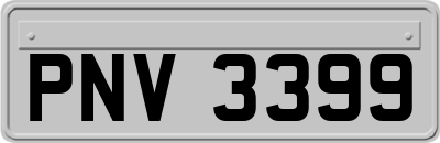 PNV3399
