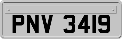 PNV3419