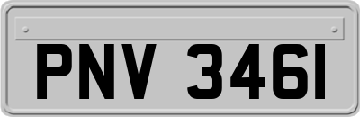 PNV3461