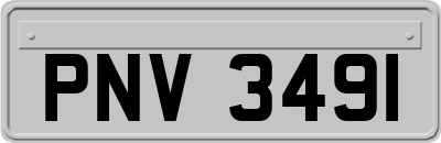 PNV3491