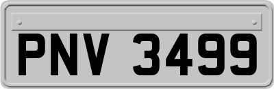 PNV3499