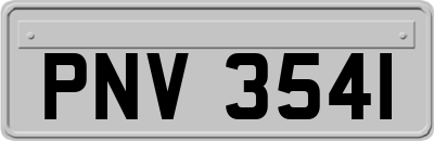 PNV3541