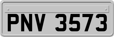 PNV3573