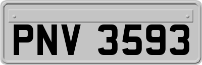 PNV3593