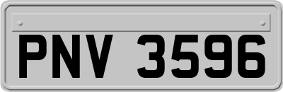PNV3596