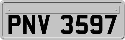 PNV3597