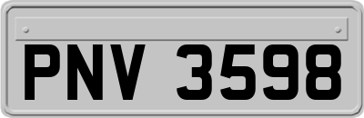 PNV3598