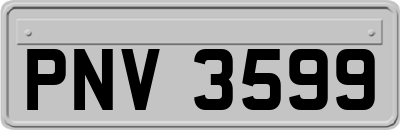 PNV3599