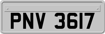 PNV3617