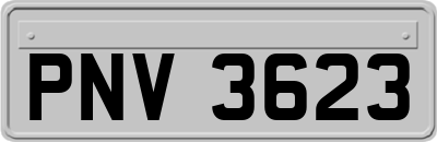 PNV3623