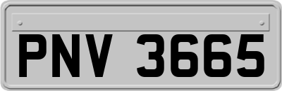 PNV3665