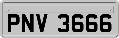 PNV3666