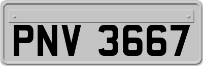 PNV3667