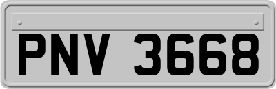 PNV3668