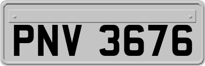 PNV3676