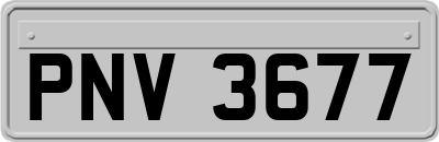 PNV3677