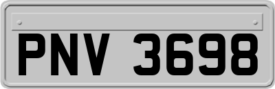 PNV3698