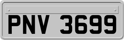 PNV3699