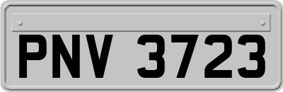 PNV3723