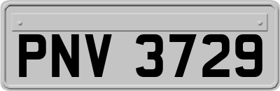 PNV3729