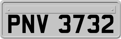 PNV3732