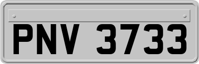 PNV3733