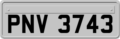 PNV3743