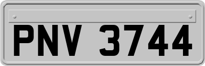 PNV3744