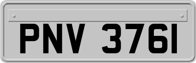 PNV3761