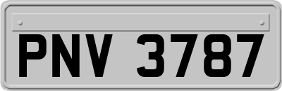 PNV3787