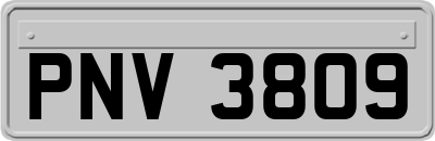 PNV3809