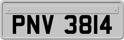 PNV3814