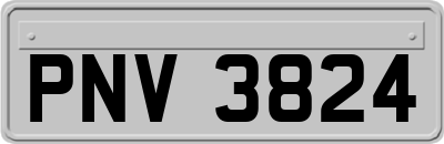 PNV3824