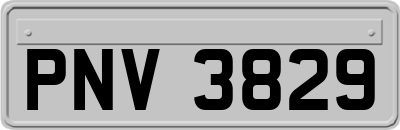 PNV3829