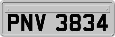 PNV3834