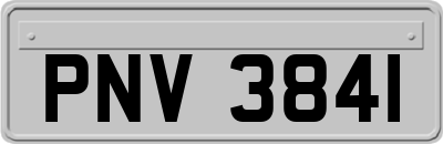 PNV3841