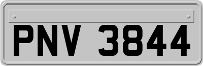 PNV3844