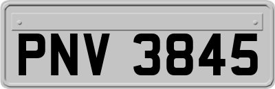 PNV3845